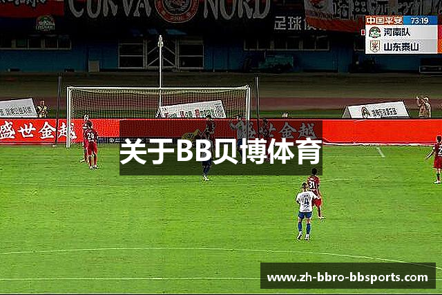 关于BB贝博体育